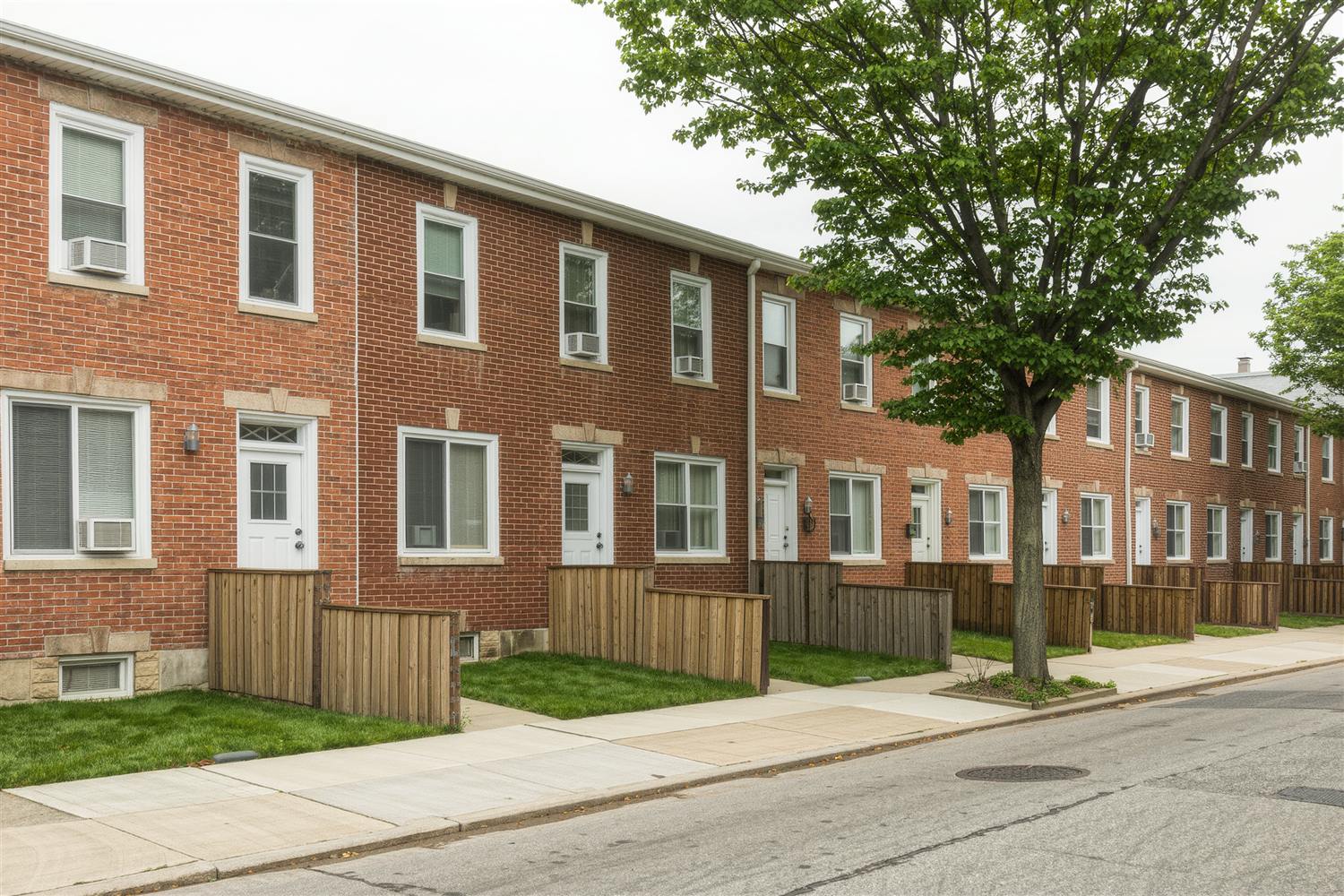 Street of attached red brick houses with small front yards and a young street tree